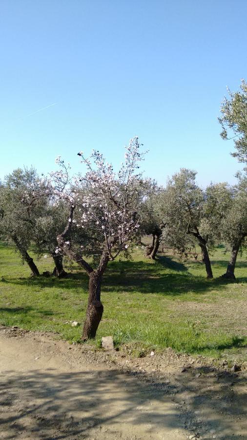 Cal Joanet, Acollidora Caseta A Gratallops Exterior photo